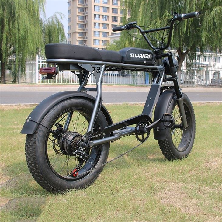 500 Watt Mountain Bike