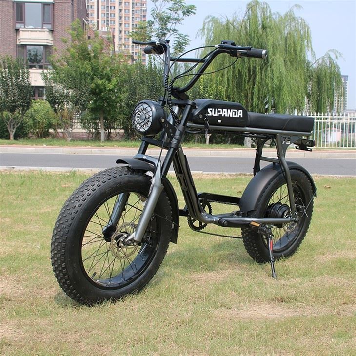 500 Watt Mountain Bike
