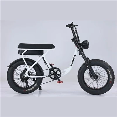 Dupla Korona Ebike